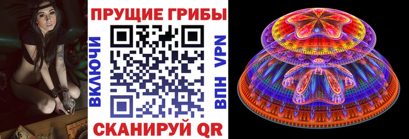 Галлюциногенные грибы Magic Shrooms  МЕГА ссылка  Козловка  где продают  