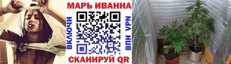 Бошки марихуана SATIVA & INDICA  Козловка 